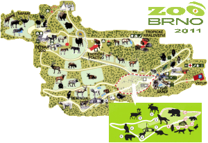 zoo_brno_plan11